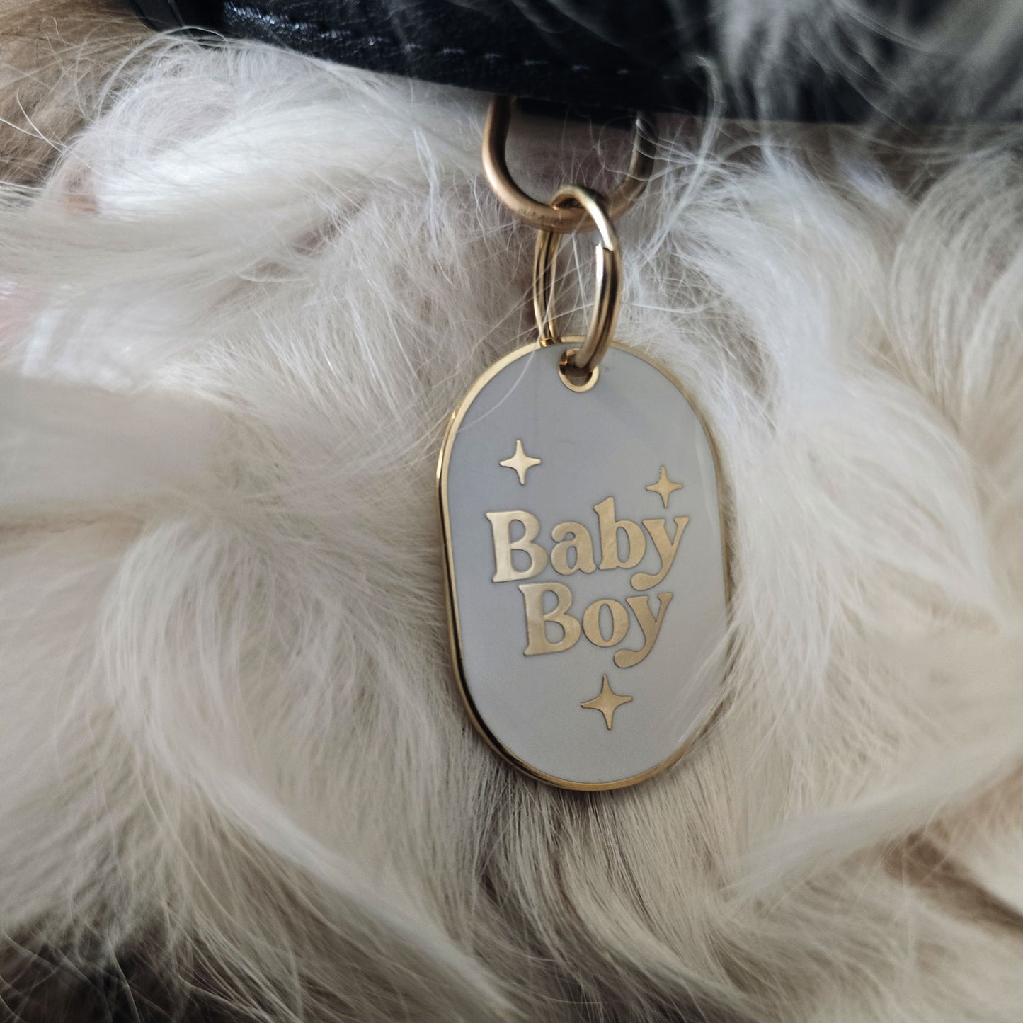 DOG ID TAG - BABY BOY