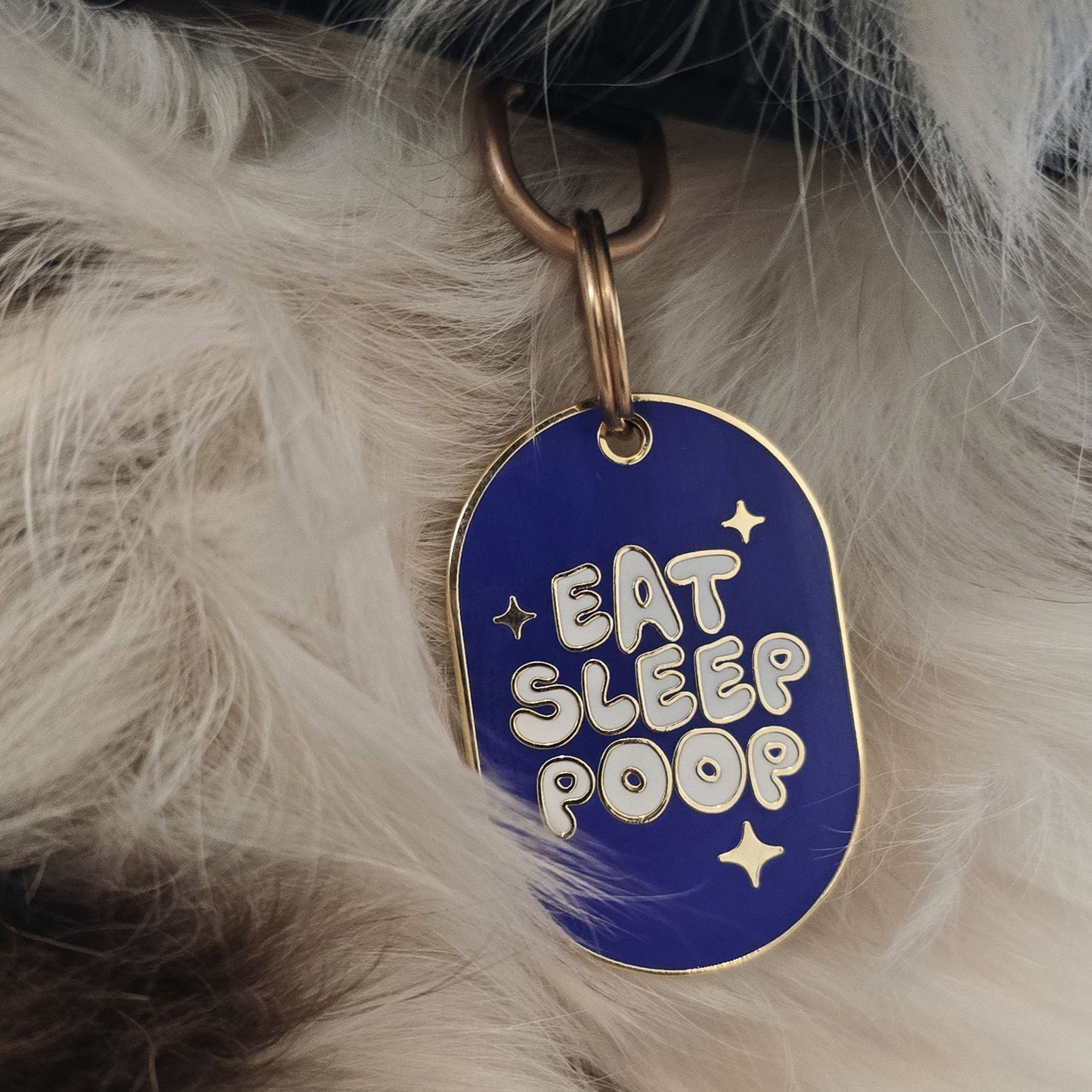 DOG ID TAG - EAT, SLEEP, POOP