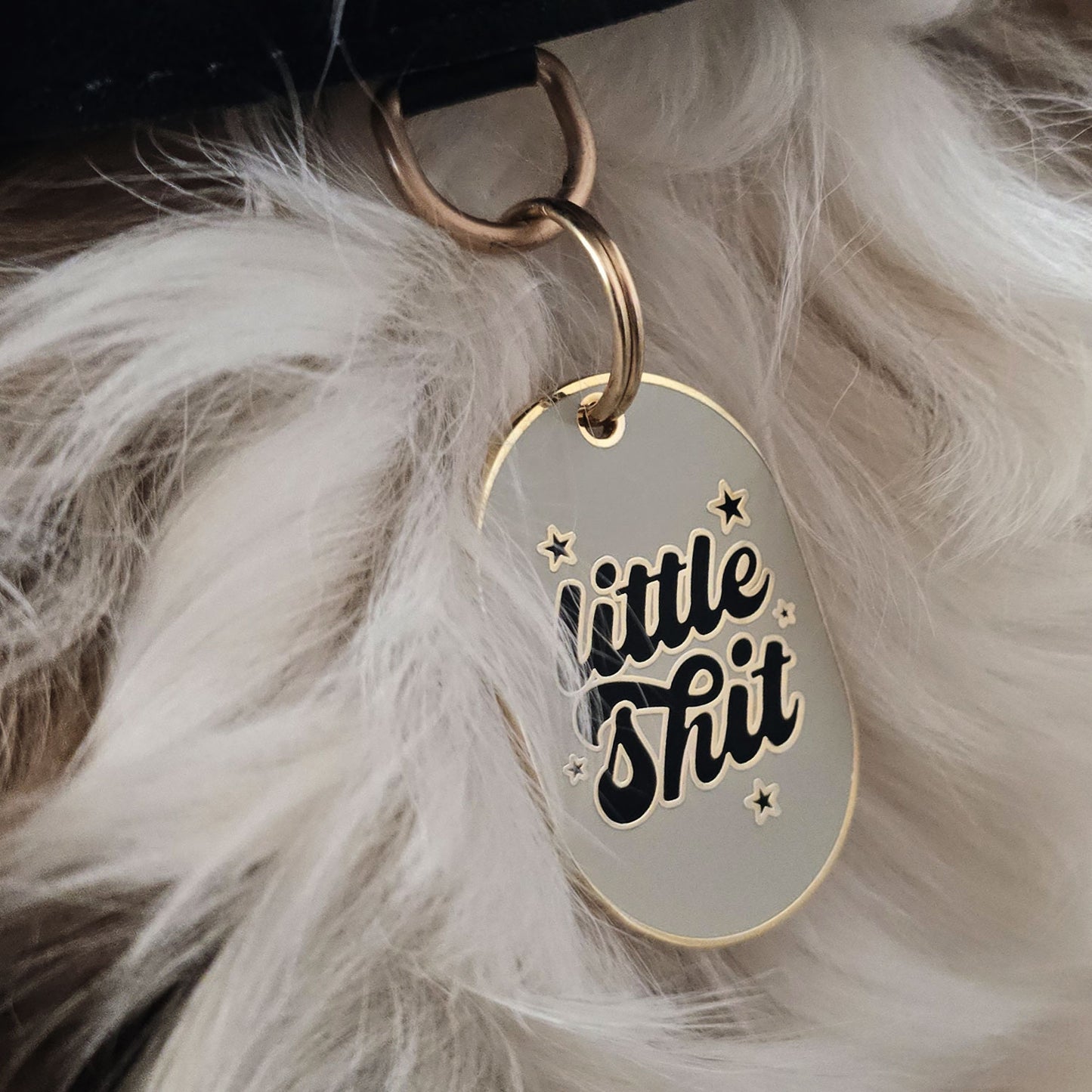 DOG ID TAG - LITTLE SHIT