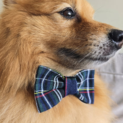 DOG BOW TIE - Navy Tartan