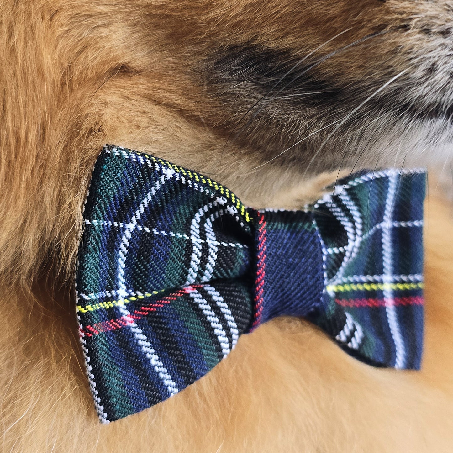 DOG BOW TIE - Navy Tartan