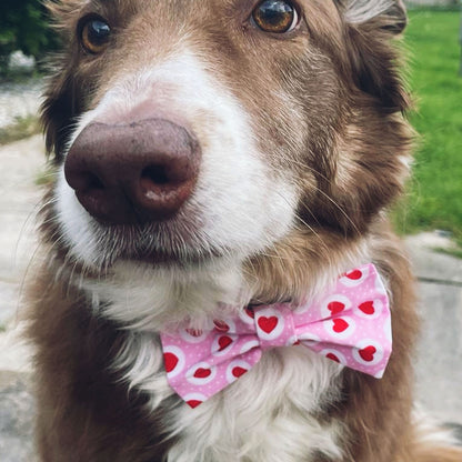 DOG BOW TIE - Pink Hearts