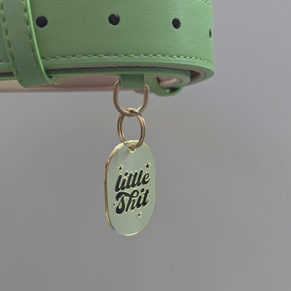 DOG ID TAG - LITTLE SHIT